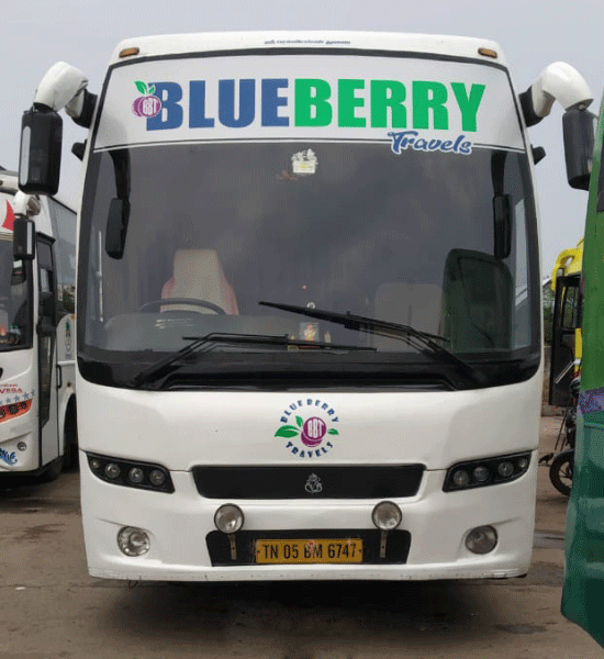 blueberry travel douala